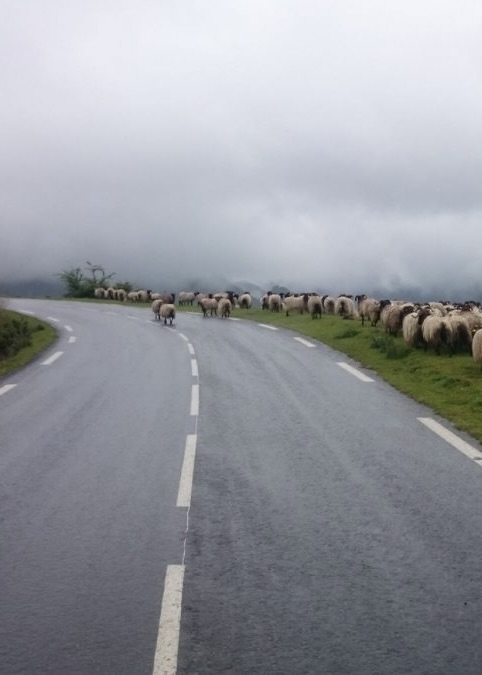 Col_Iraty_Pyrenees-1200x675-1
