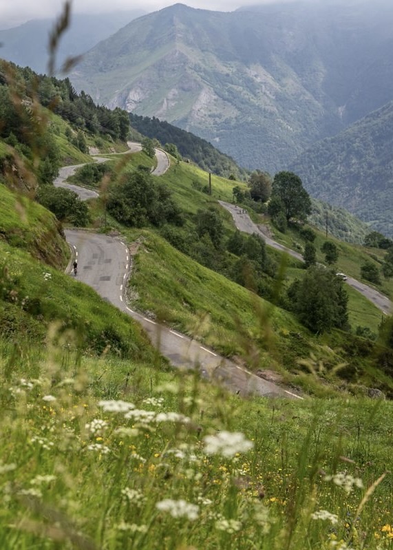 14-3Y0A7069-1200x800-1