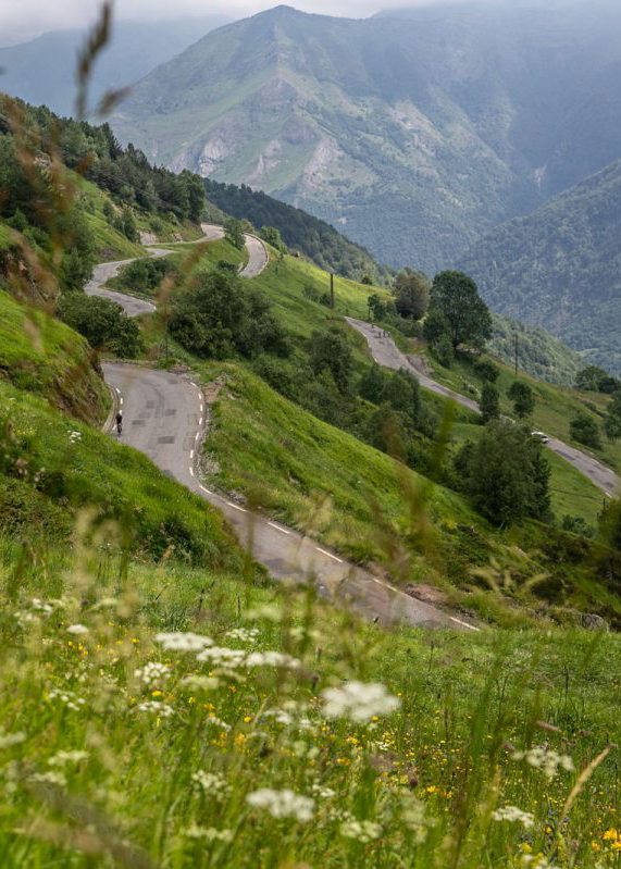 14-3Y0A7069-1200x800-1