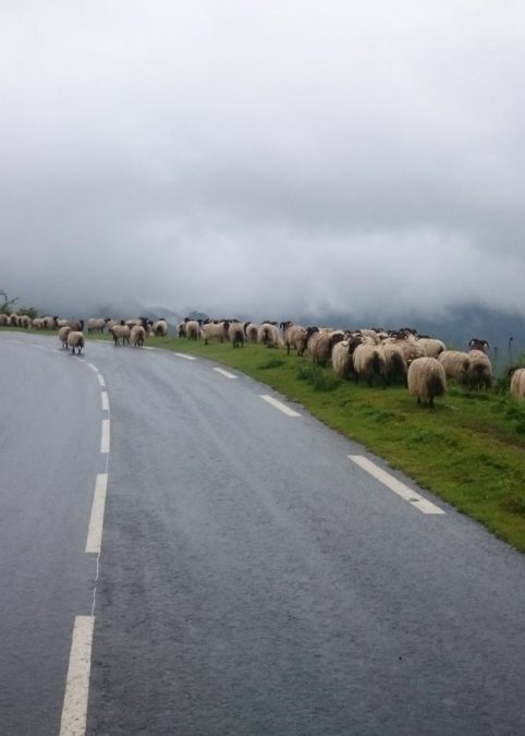 Col_Iraty_Pyrenees-1200x675-1