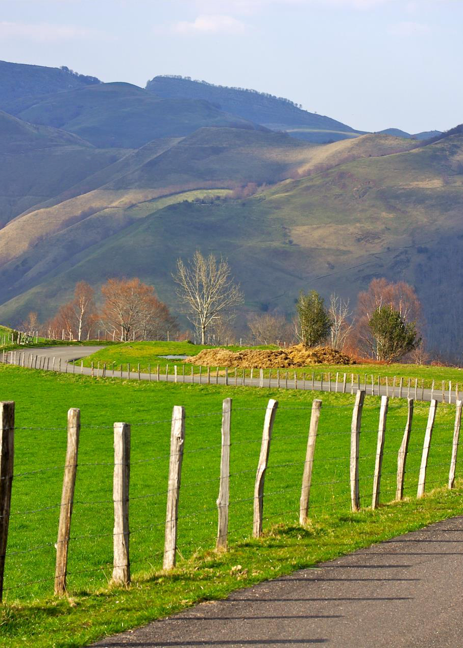 Paysages-de-Soule_Chemin_mini