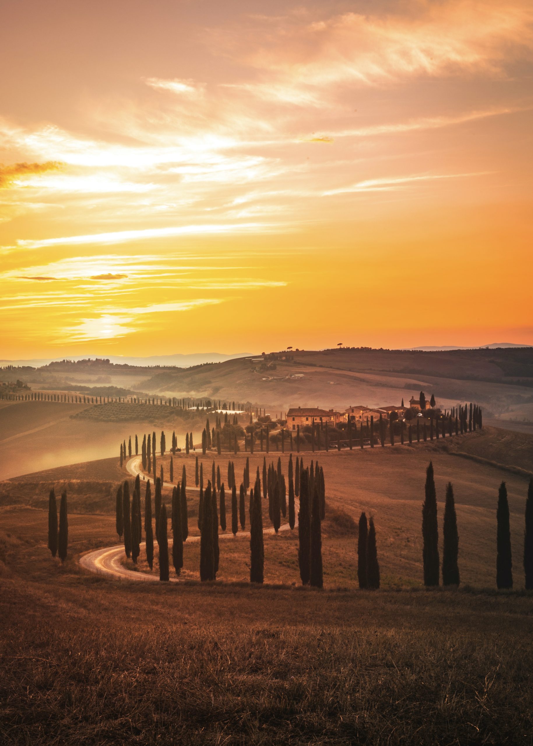 jarno-cobbaert-ZuuNfOIXQzM-unsplash