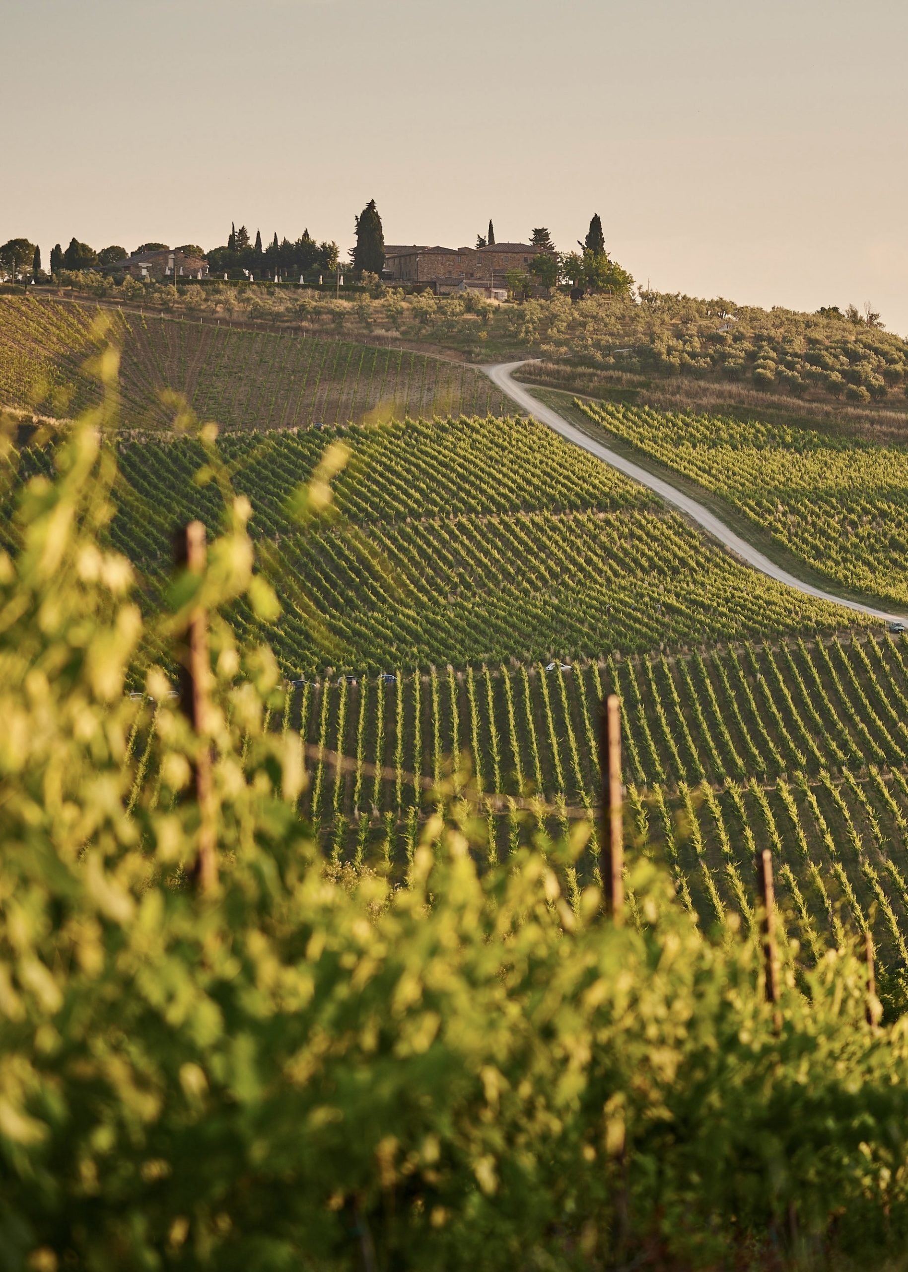 johny-goerend-pnigODapPek-unsplash