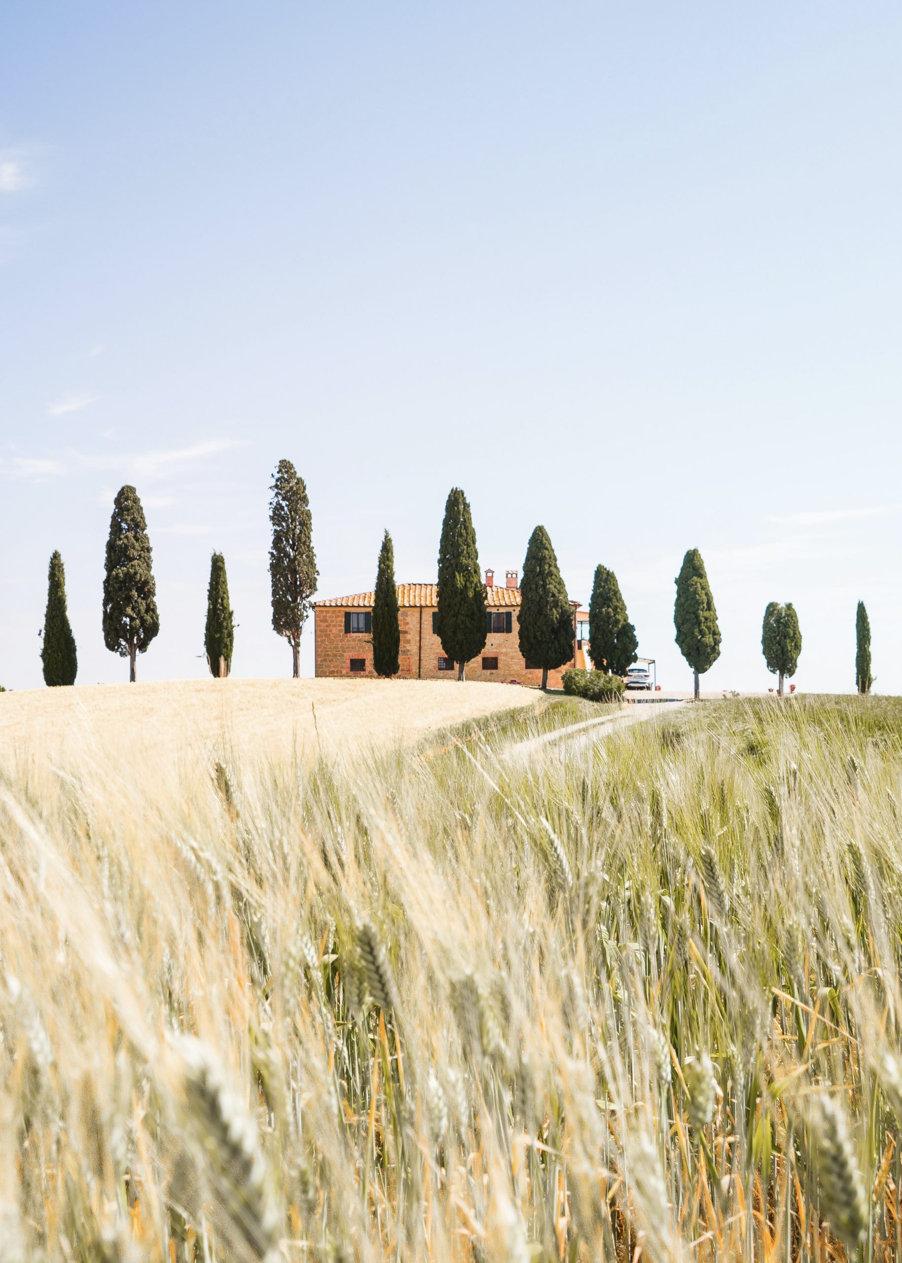 melina-kiefer-2eI1rYkSC6k-unsplash