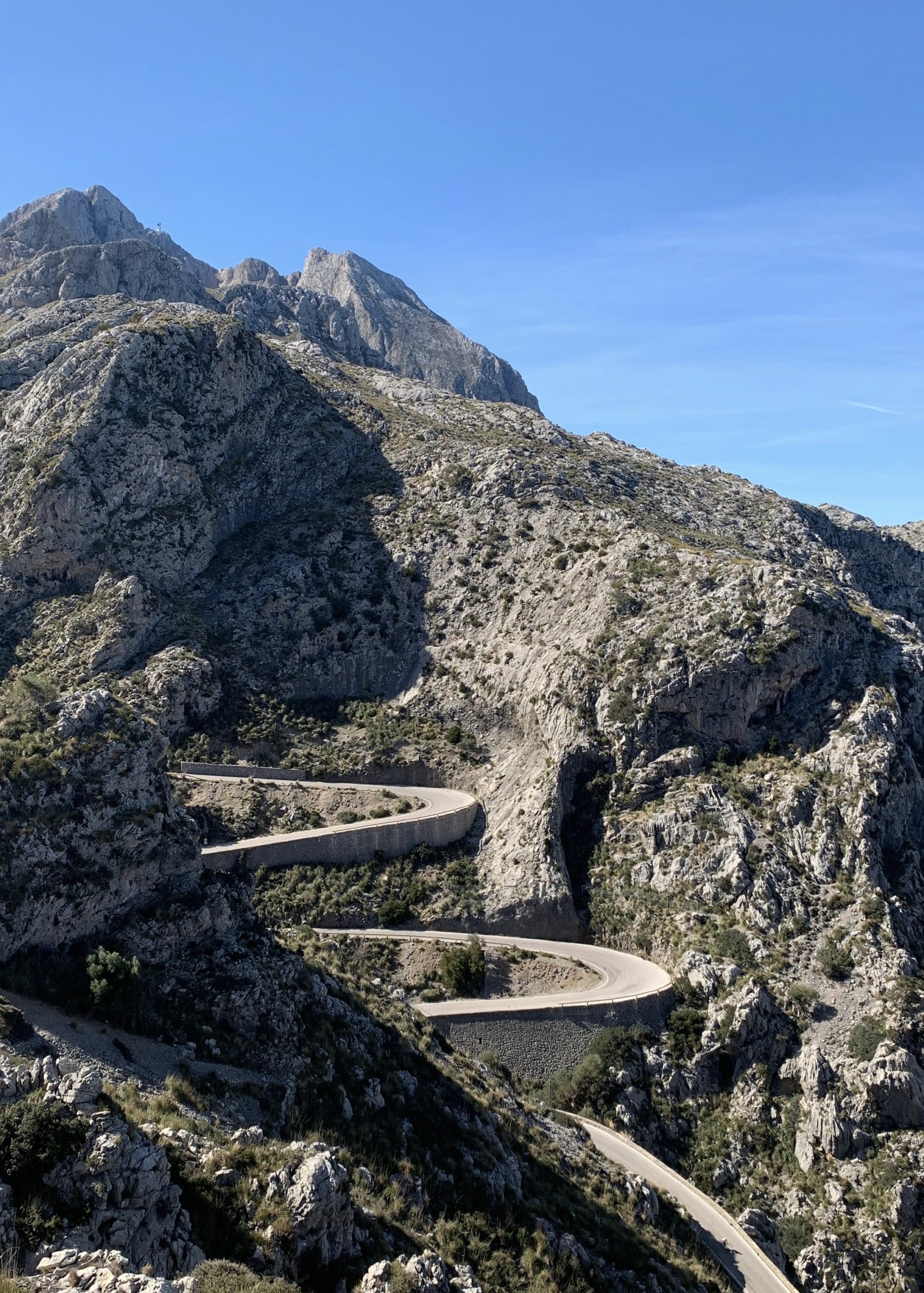 42AE276D-6632-429E-9CC8-9898B2ABF16B_1_201_a