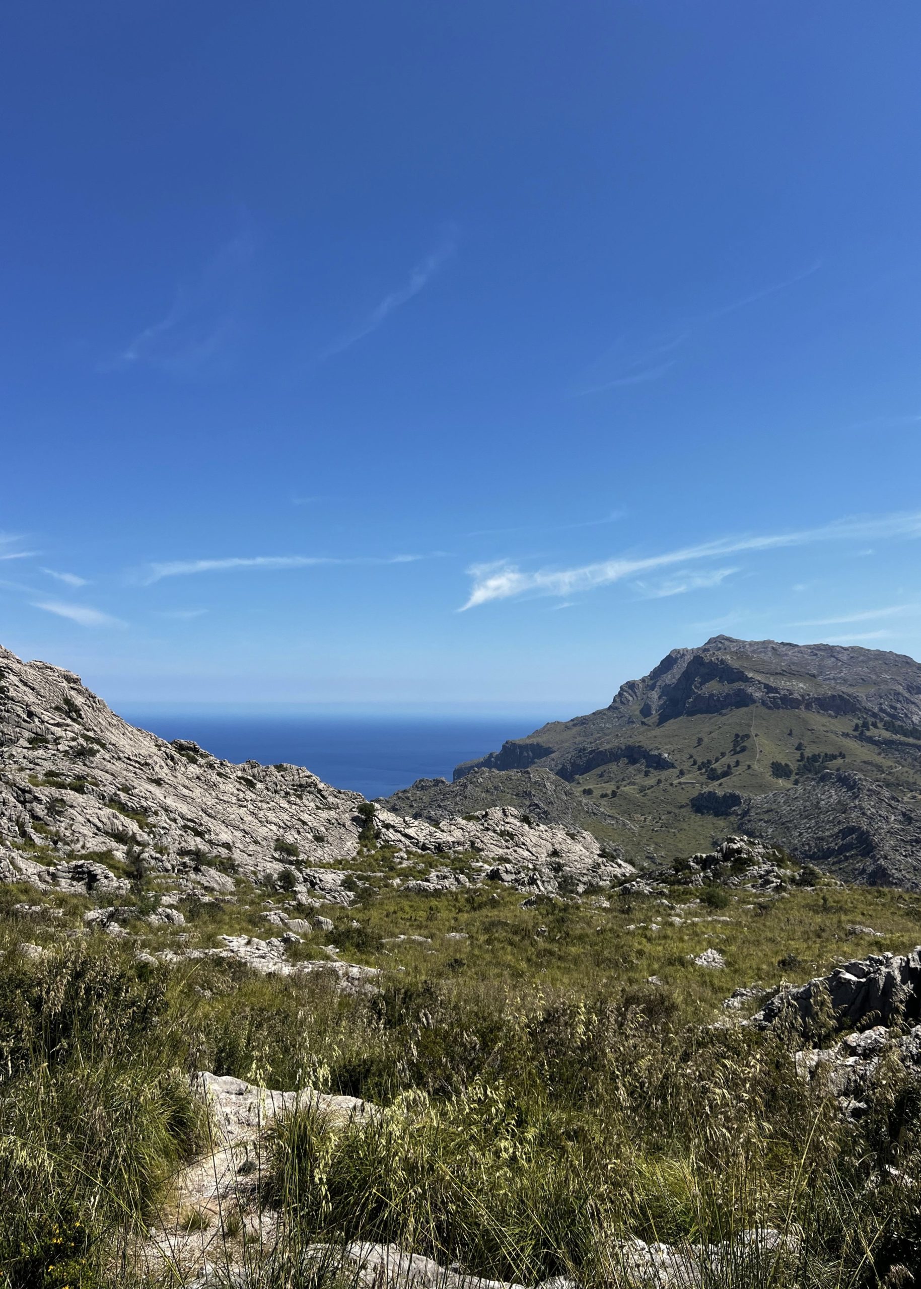 53BEF20F-22D2-4292-A026-E8070A5CBD3F_1_201_a