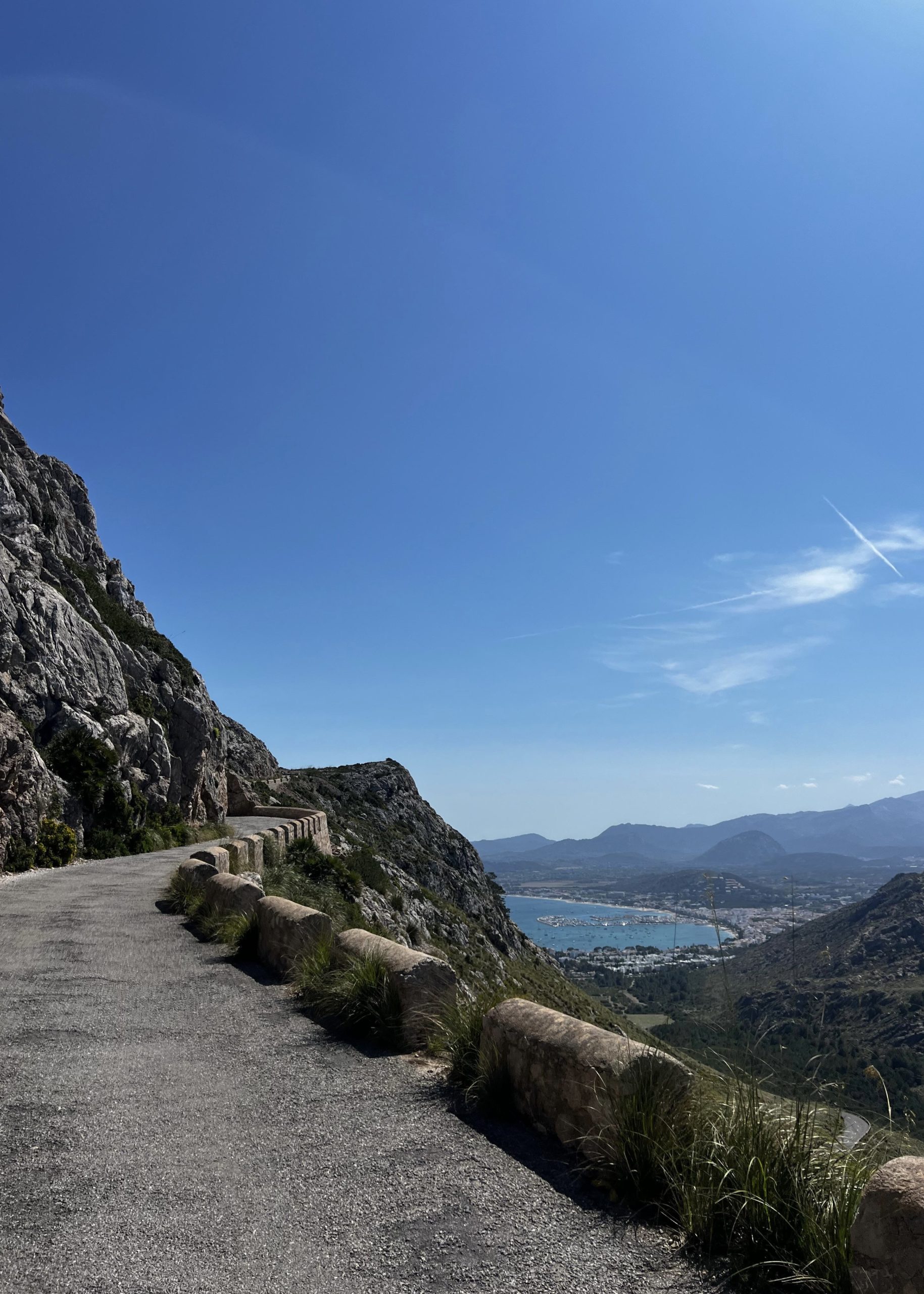 7BEC2586-44FC-43C4-8C05-5788D8DB488F_1_201_a