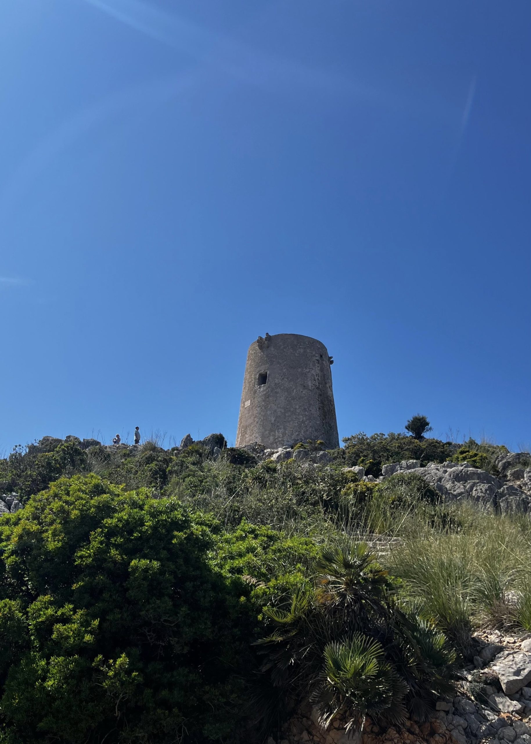 A23F6A53-D9C7-40F7-9CD0-2A71E3B43BF5_1_201_a