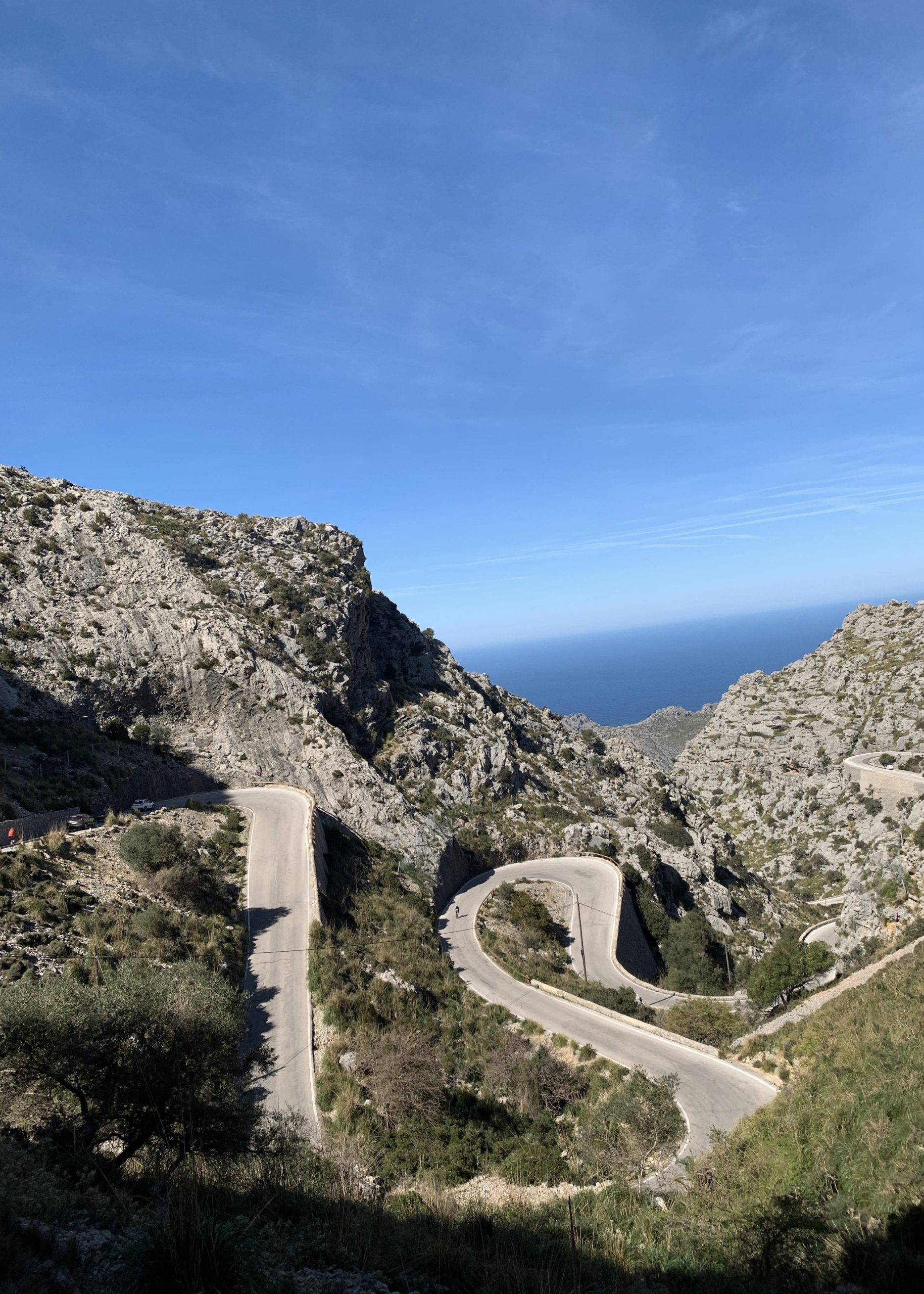 A3D8F387-8BD4-4FBE-8052-2D0150637FD3_1_201_a