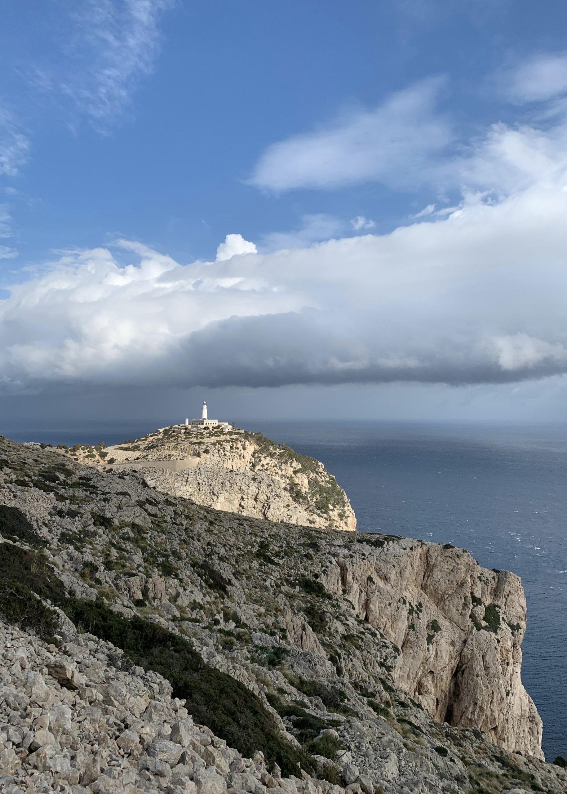 C0E54DFC-DFB9-40E5-9EED-0731BF5022FB_1_201_a