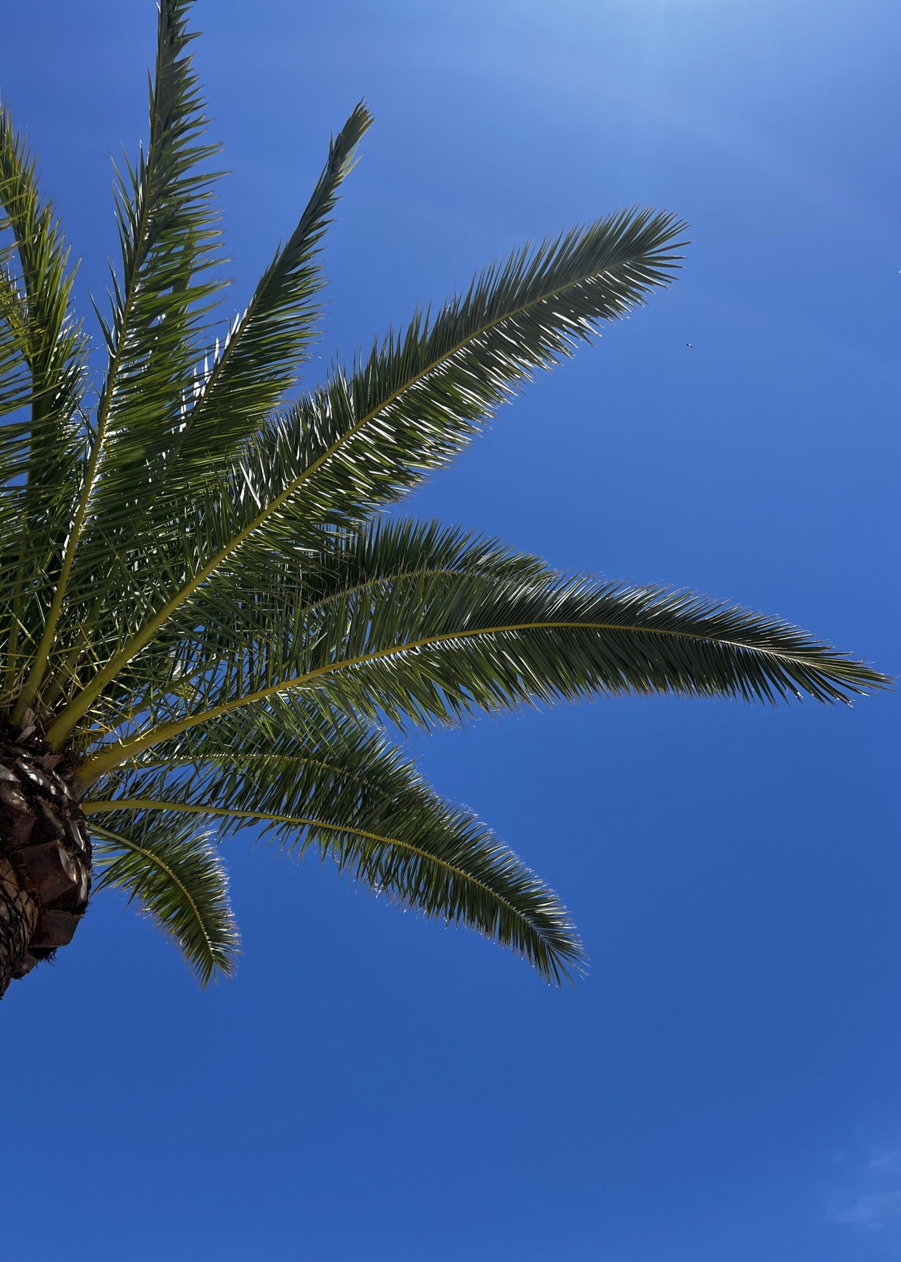 DA830C11-4908-47CE-8C33-34E211221657_1_201_a