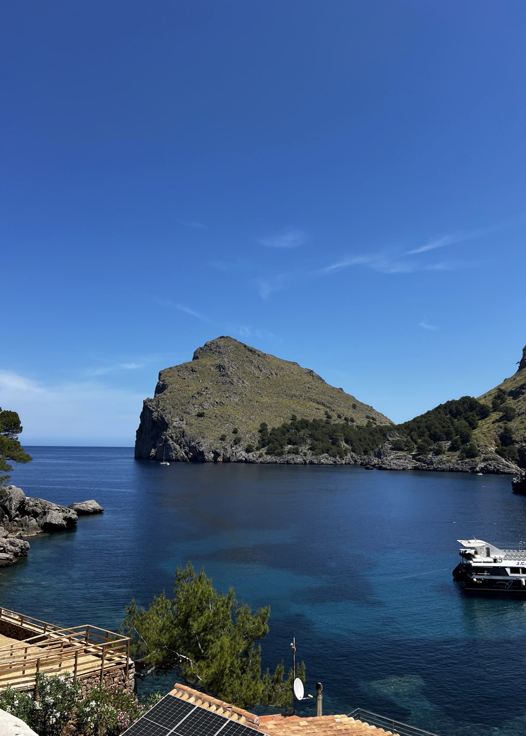 F21D8507-80B9-4DC5-92E7-3C6447DF8DDD_1_201_a