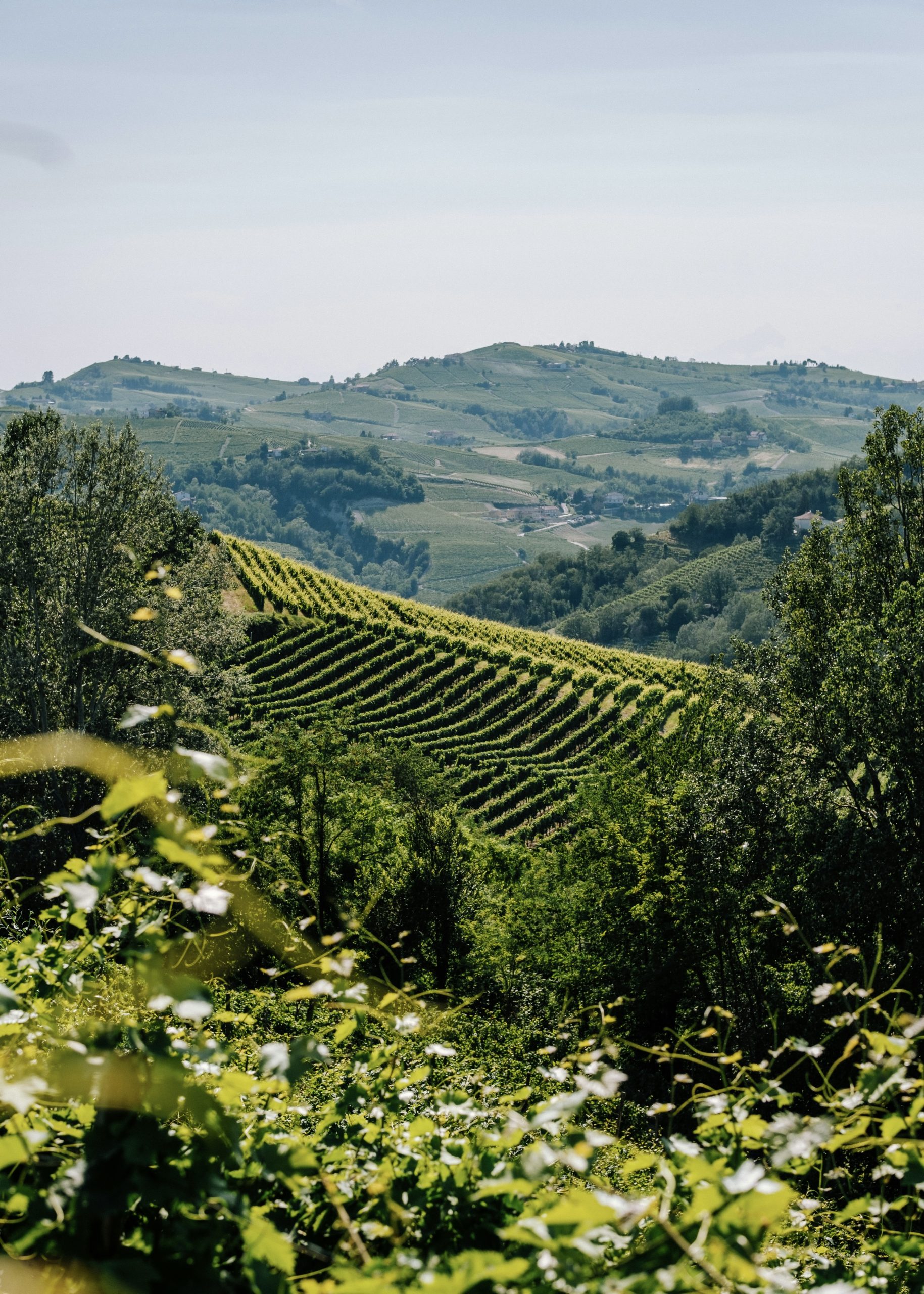 kristaps-grundsteins-eSkU9bMC2Cc-unsplash