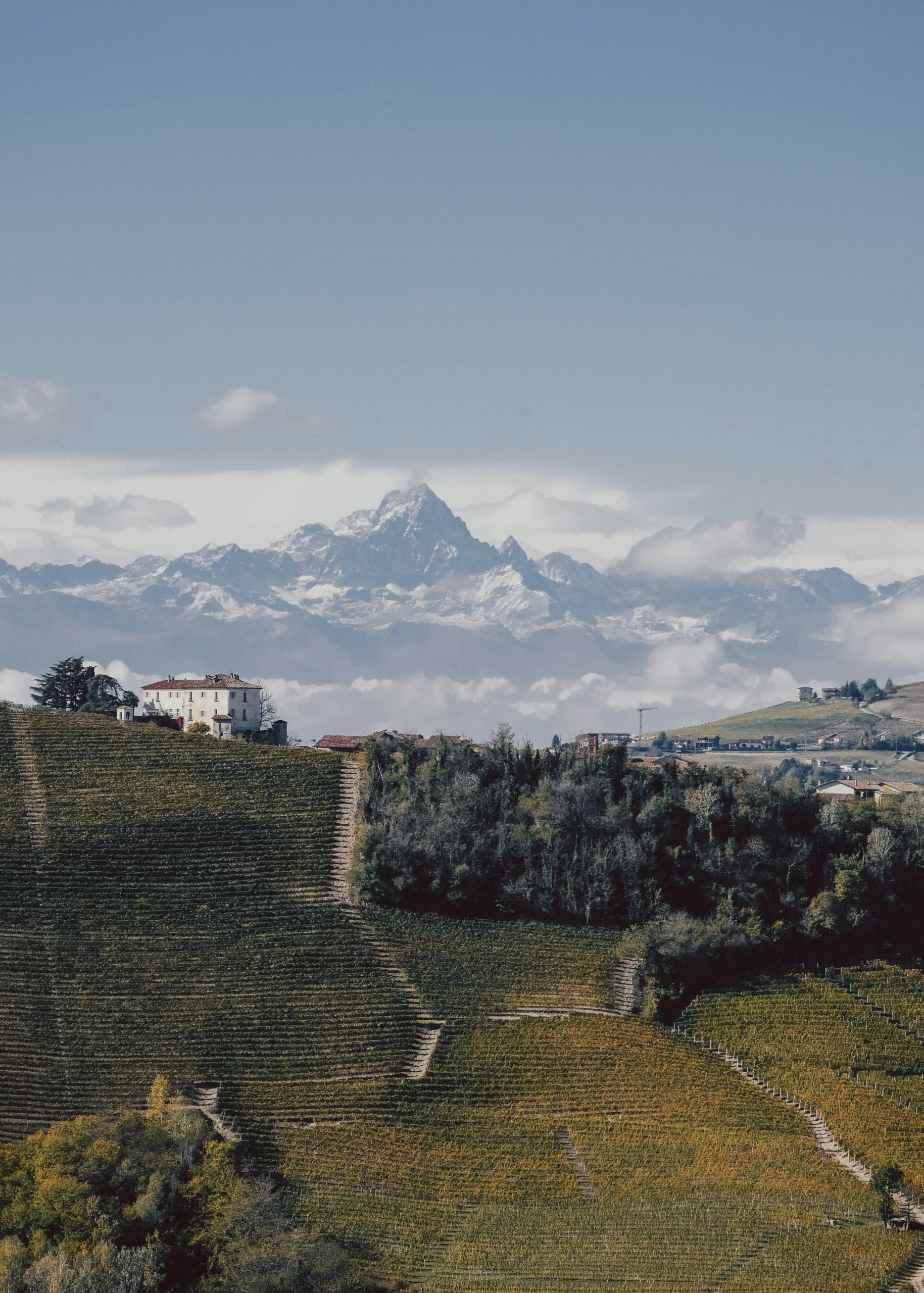 lisa-van-vliet-9QD0vZTXHXo-unsplash