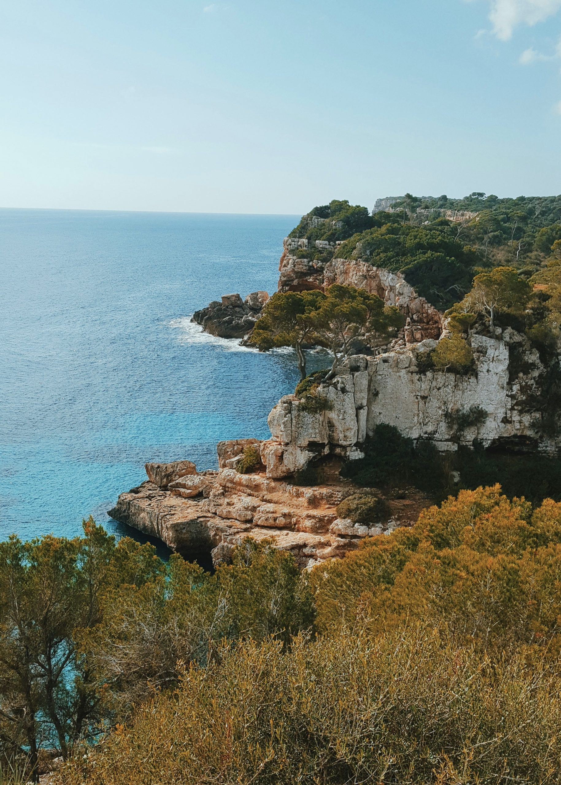 reiseuhu-hECemcb_3cc-unsplash