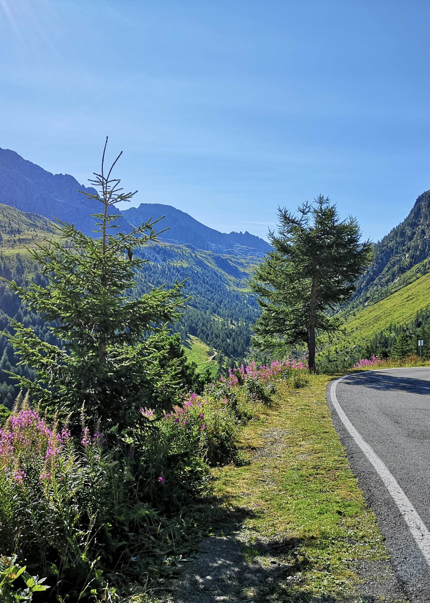 cristian-giordano-PcSITtGkrXQ-unsplash