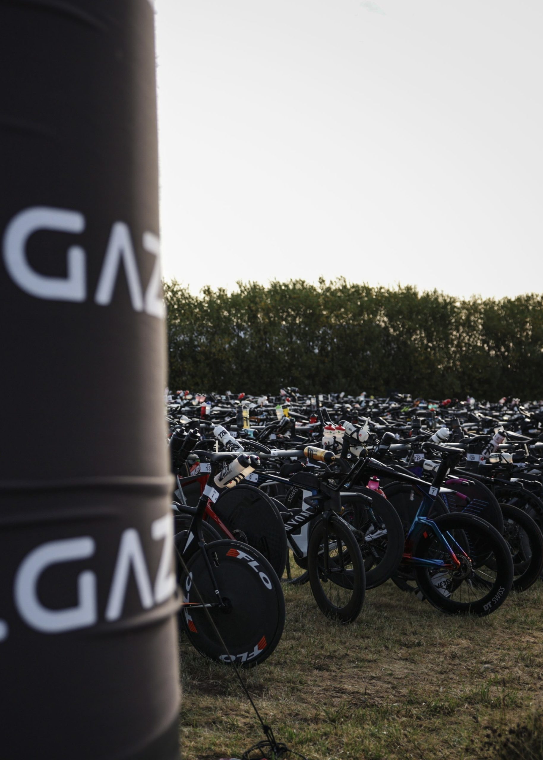 66A27682-777B-443E-BDFF-6FF740668E0B_1_201_a