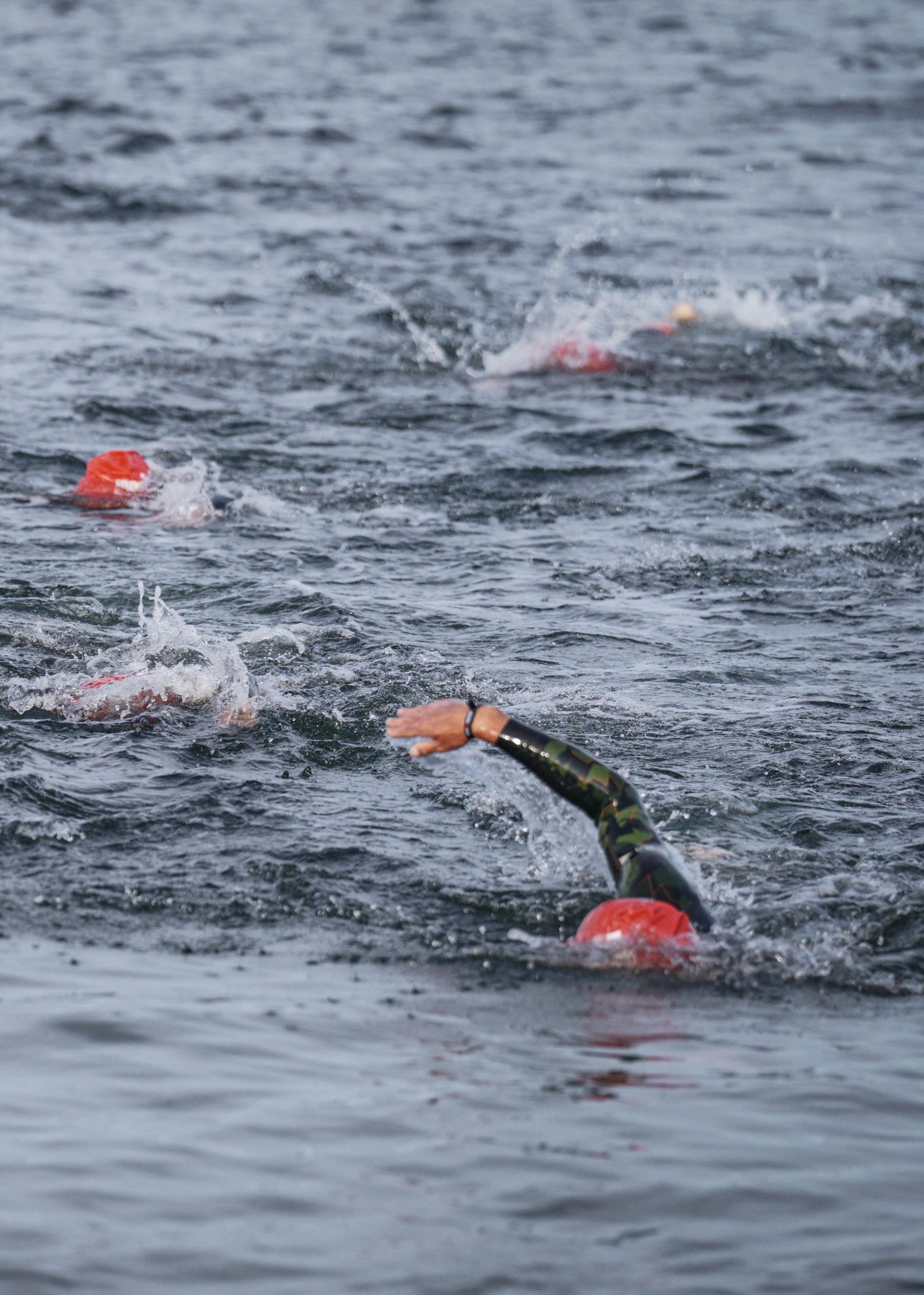 FB94FC62-9B71-4339-9A73-29F1431E0999_1_201_a