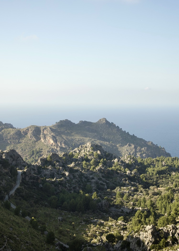 0A6523EC-F9BC-49E3-8D58-16BF060770A7_1_105_c