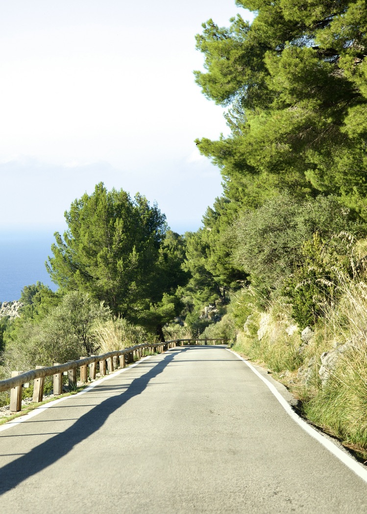 EBF2821B-6F0B-47FA-9666-ACC37FF6BABB_1_105_c