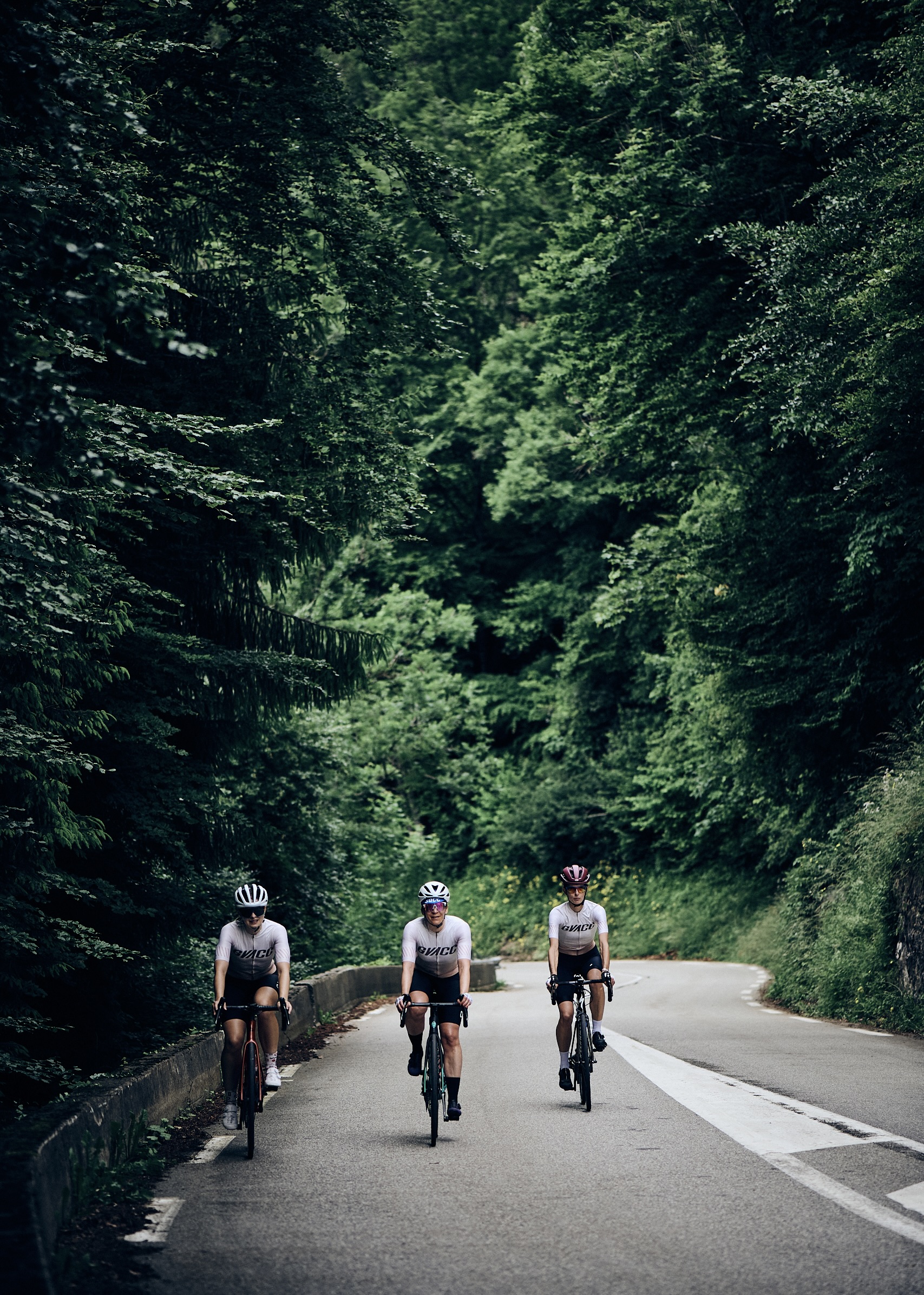 012E3165-2C67-45A1-8C2C-344CF4E46CE4_1_201_a