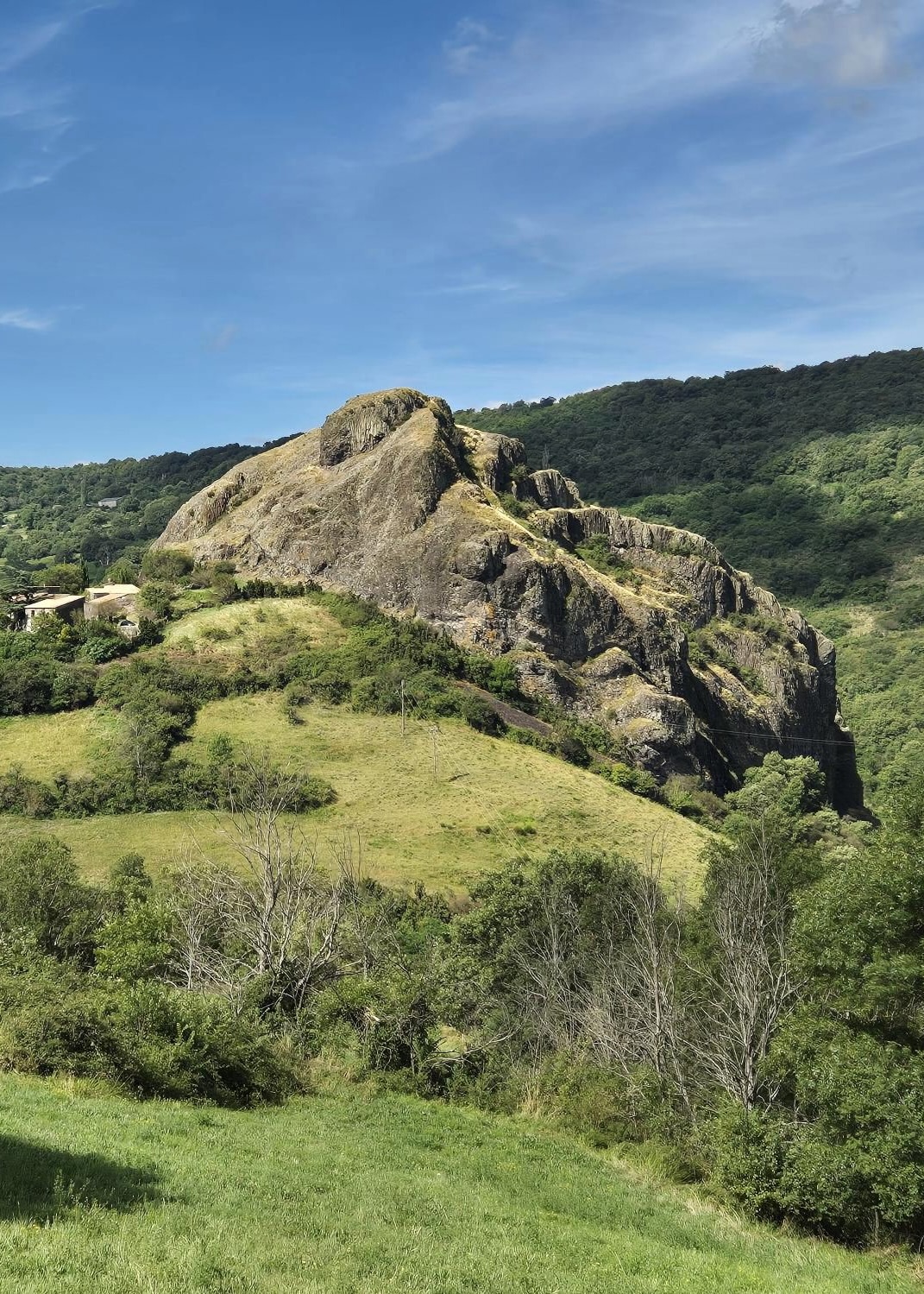 040E59AE-EF8C-448C-BE82-3C9EEE5C1EC7_1_201_a