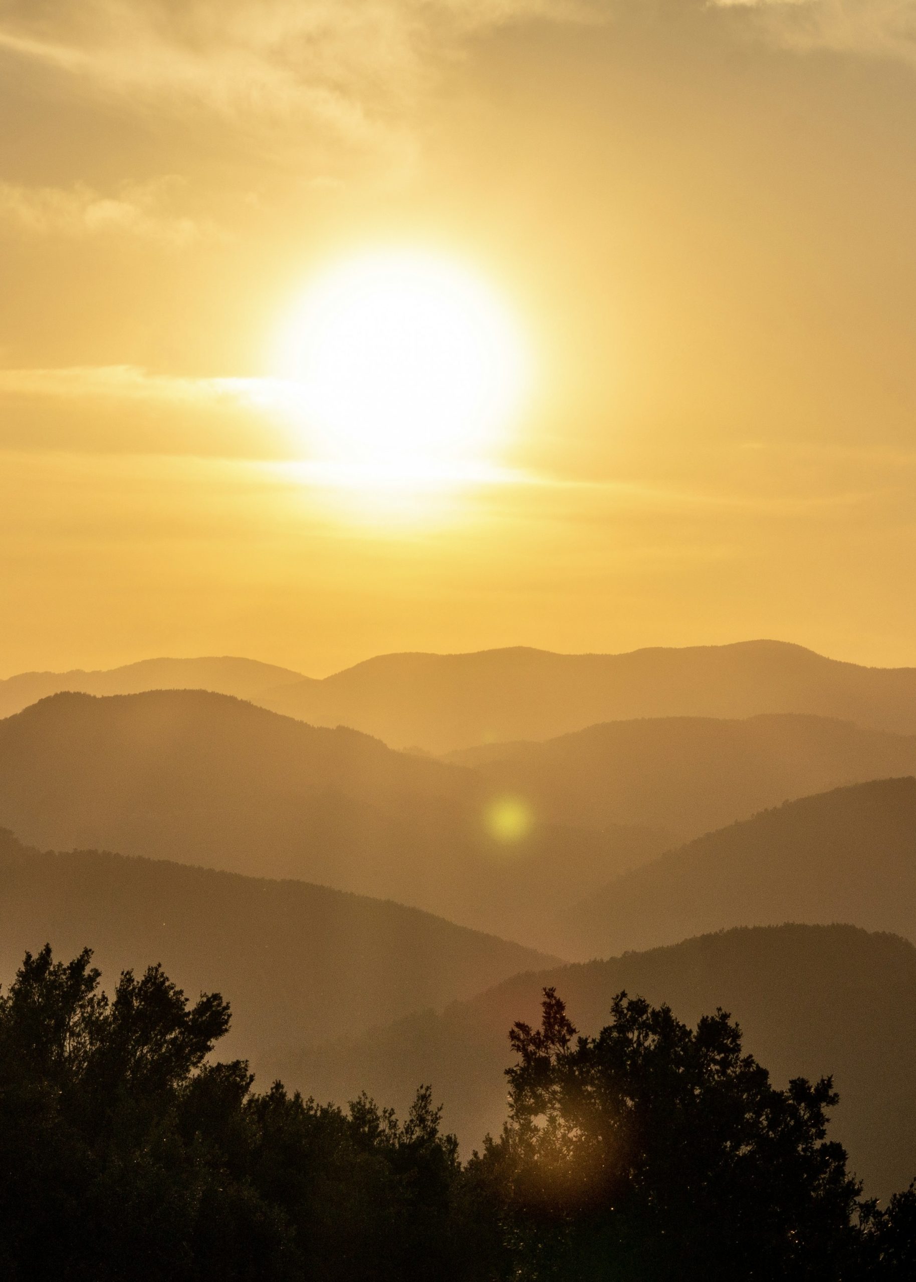 0C7E1E76-F6CA-4637-88E6-A7F6CEDE8989_1_201_a