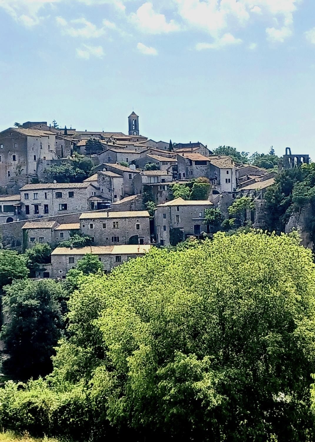 292A9DDA-DC0D-406C-8963-D85BF0037D45_1_201_a