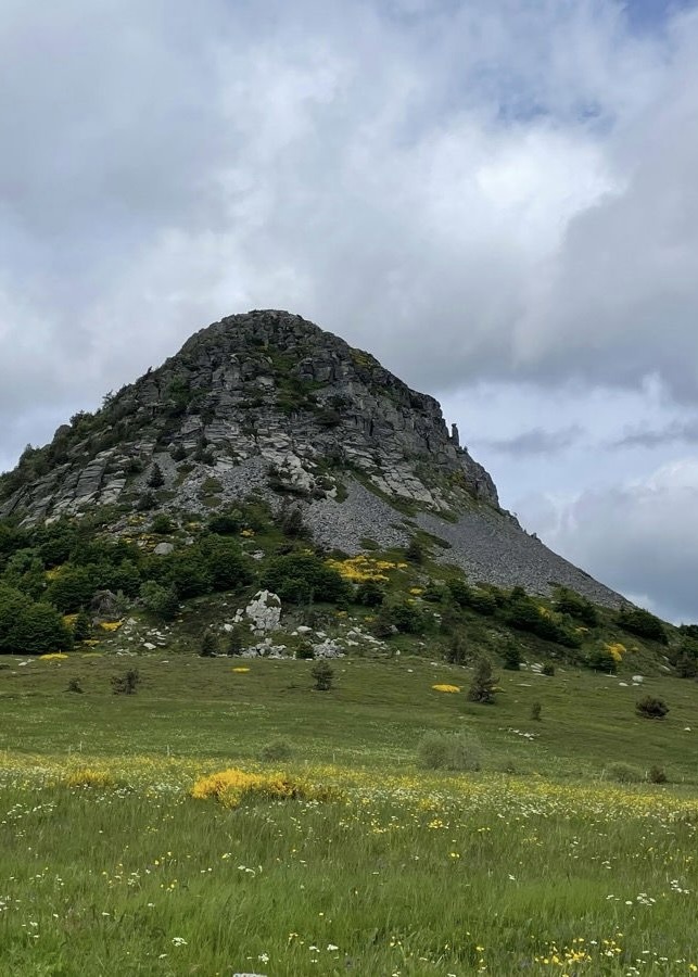 37C69928-A675-4172-A31E-853FE491EF48_1_201_a