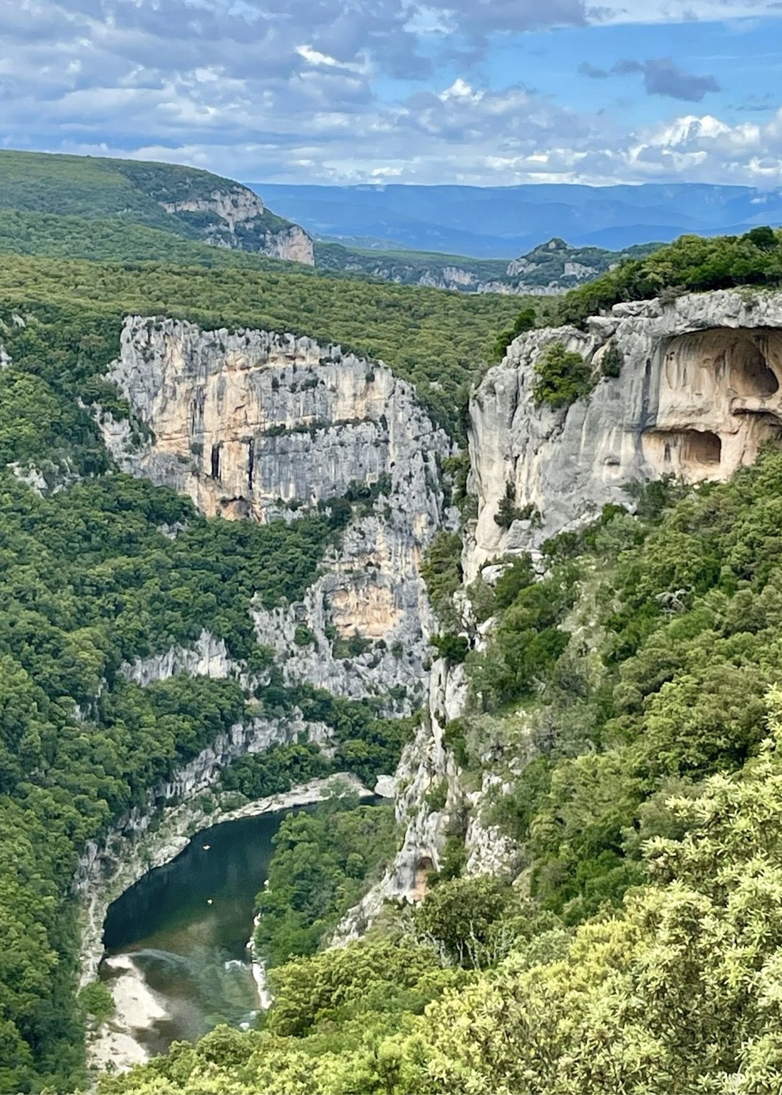 4A2512B6-26AE-4A11-BD51-46A9EE68A869_1_201_a