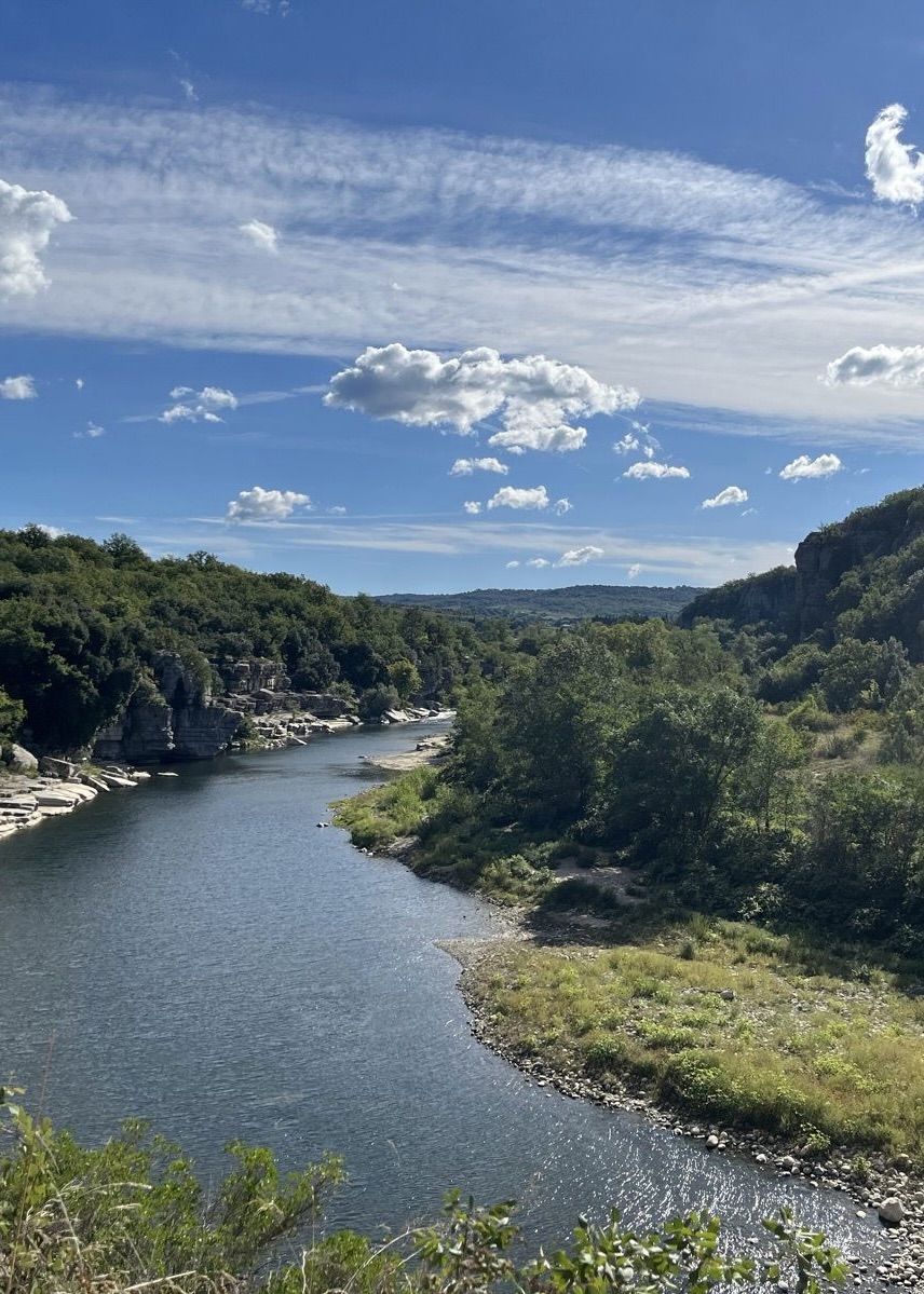 C1D60C51-257C-4D3D-9C6D-AC13C18B2442_1_201_a