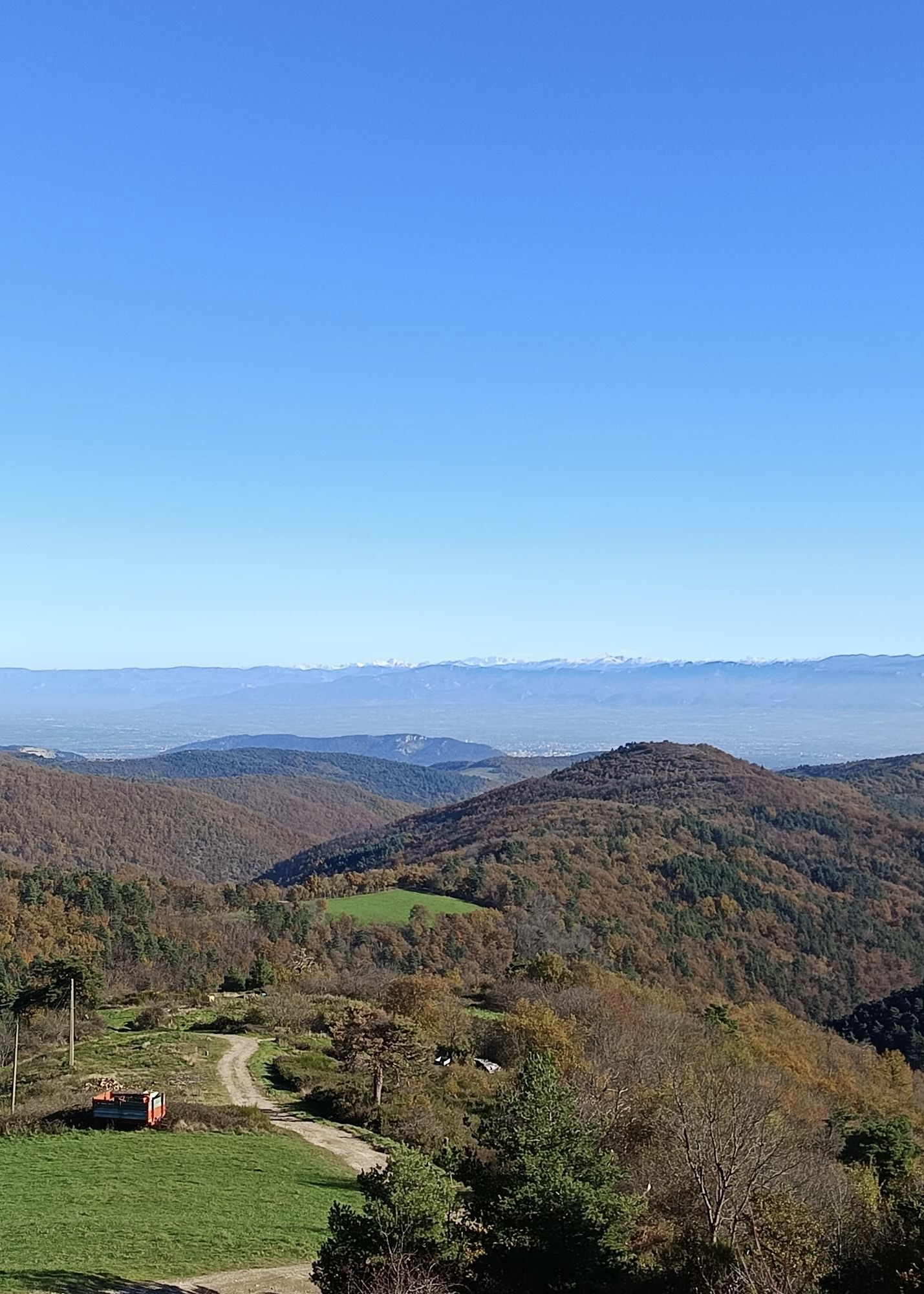 DFD35E60-1687-4C65-9F4D-2ABB81FAA0DF_1_201_a