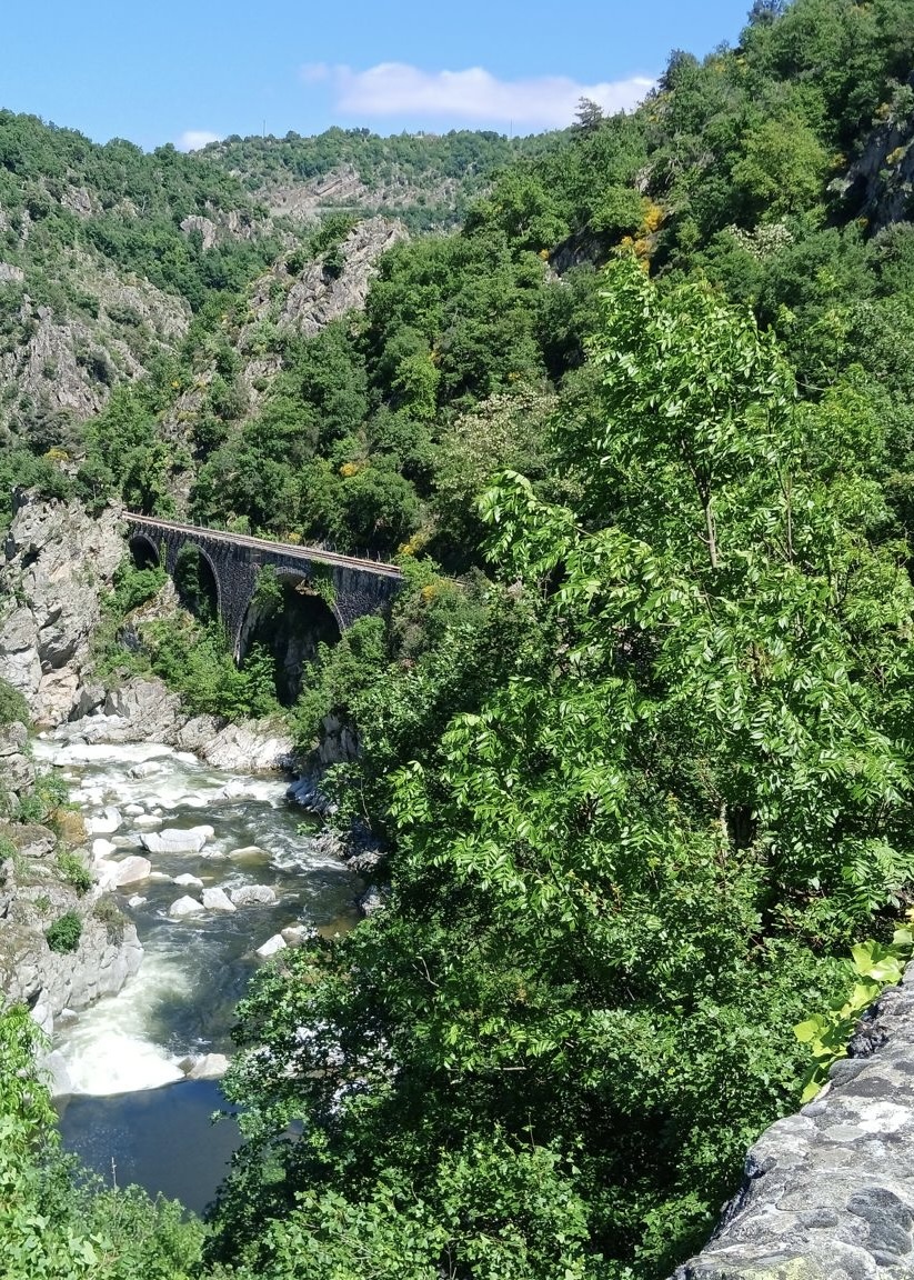 E0FCD5AC-942C-495D-93A3-4A42B6DD96D9_1_201_a