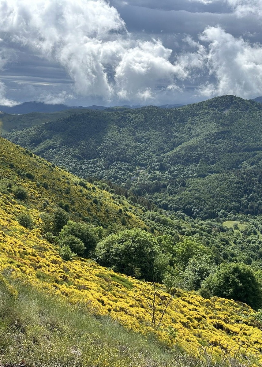 FC17A946-B489-49A3-A359-064370C5B936_1_201_a