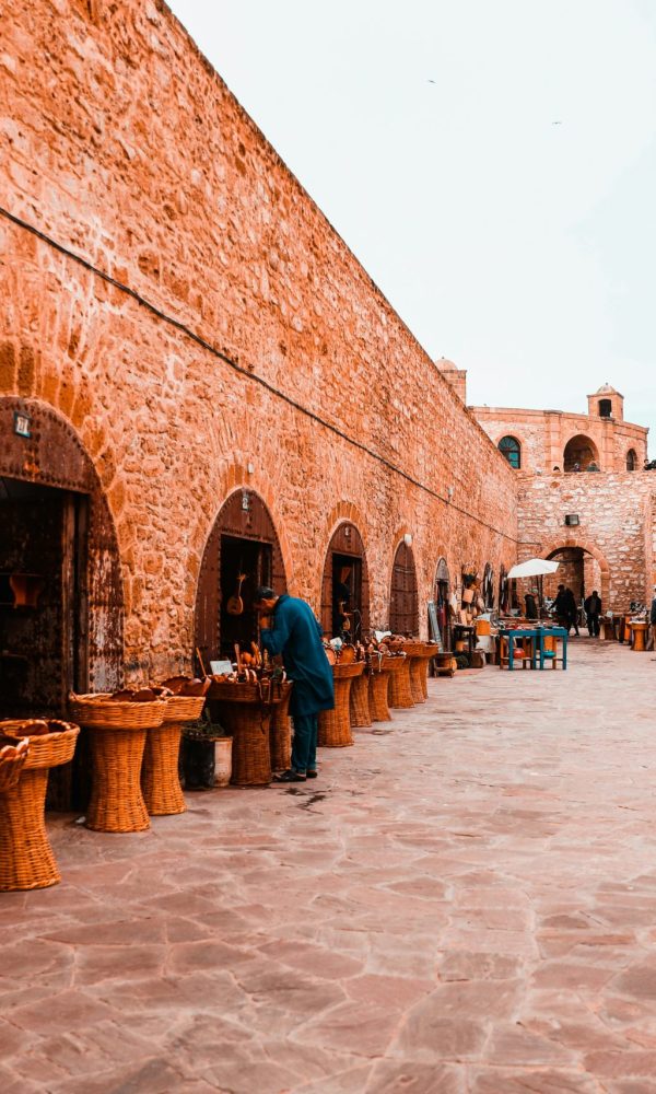rigel-ibisQEDxODo-unsplash